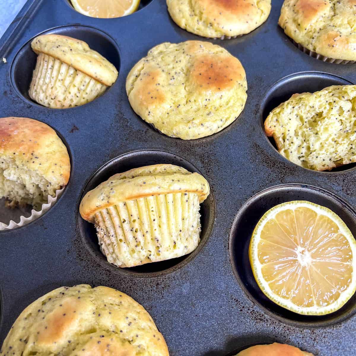Poppy Seed Muffins baked in muffin pan