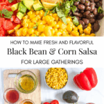 Salsa salad mixed up and ingredients separated out