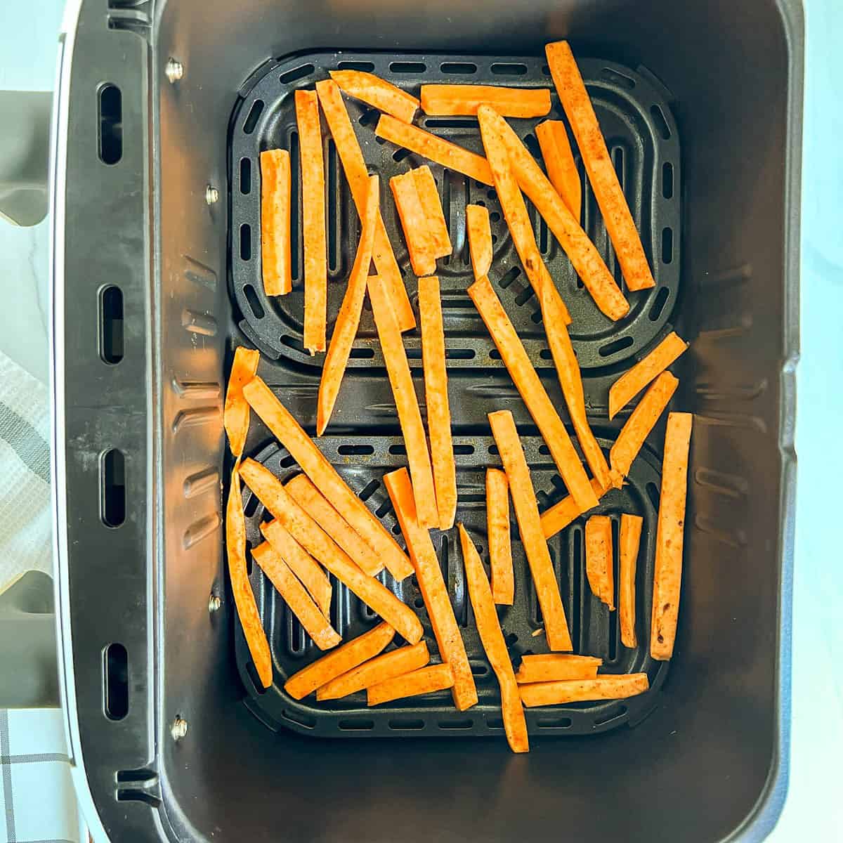 fries in an air fryer