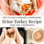 brined raw turkey