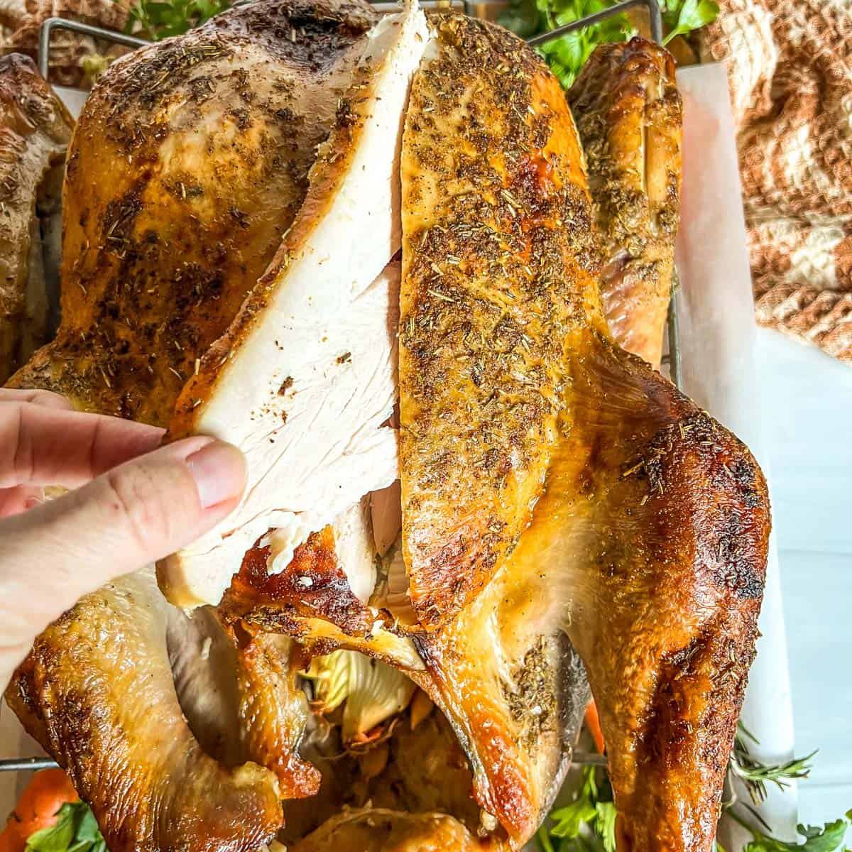 piece of roasted turkey