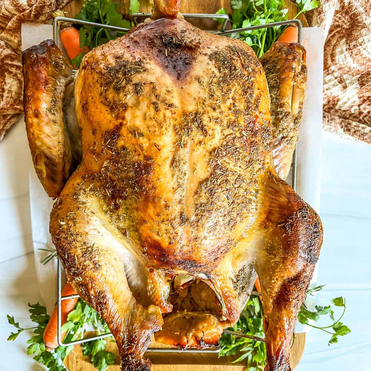 roasted turkey