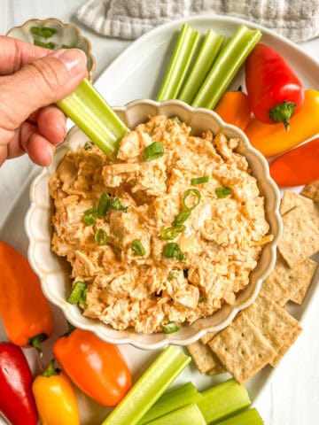 chicken dip with celery sticks